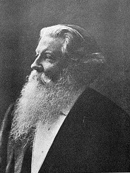 Дмитро Тихомиров