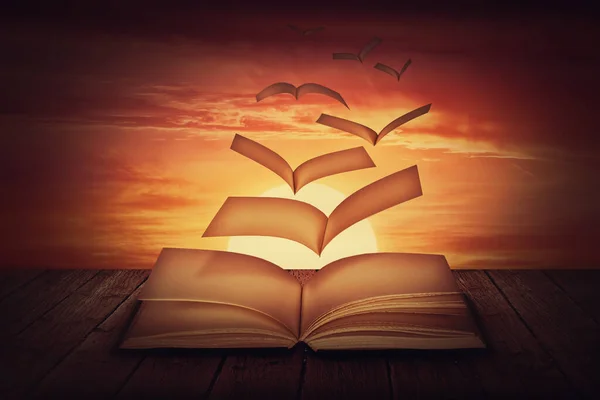 Книга