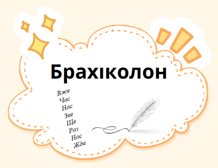 Брахіколон